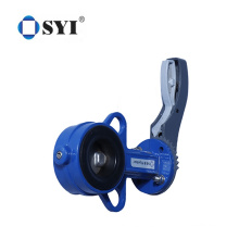 Lug Type CI Body Wafer Disc Ductile Iron Flange Butterfly Valve with Handwheel